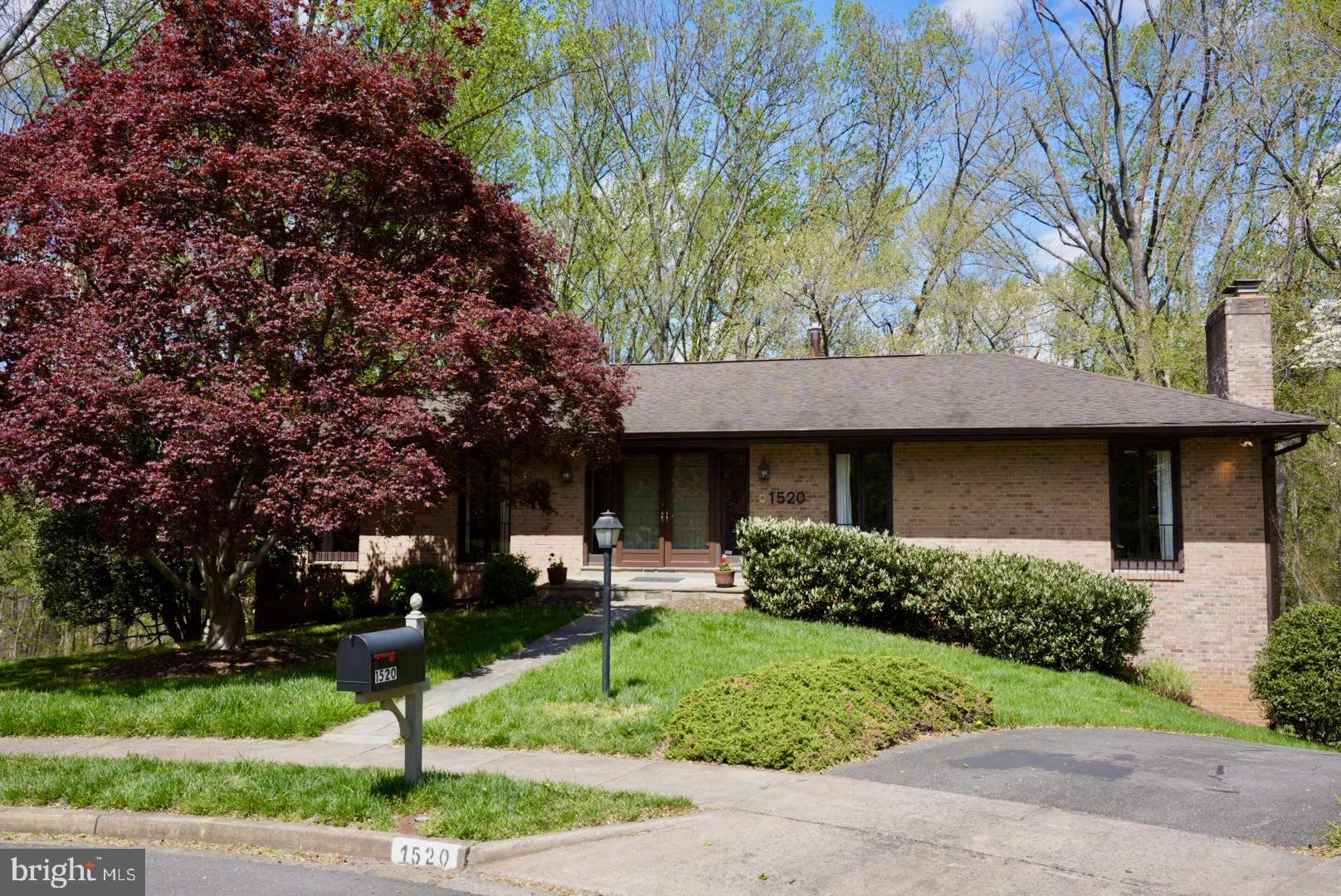 CHAIN BRIDGE FOREST - Residential