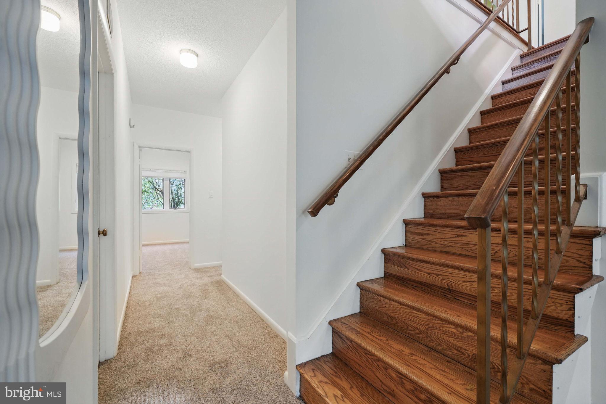 CHAIN BRIDGE FOREST - Residential