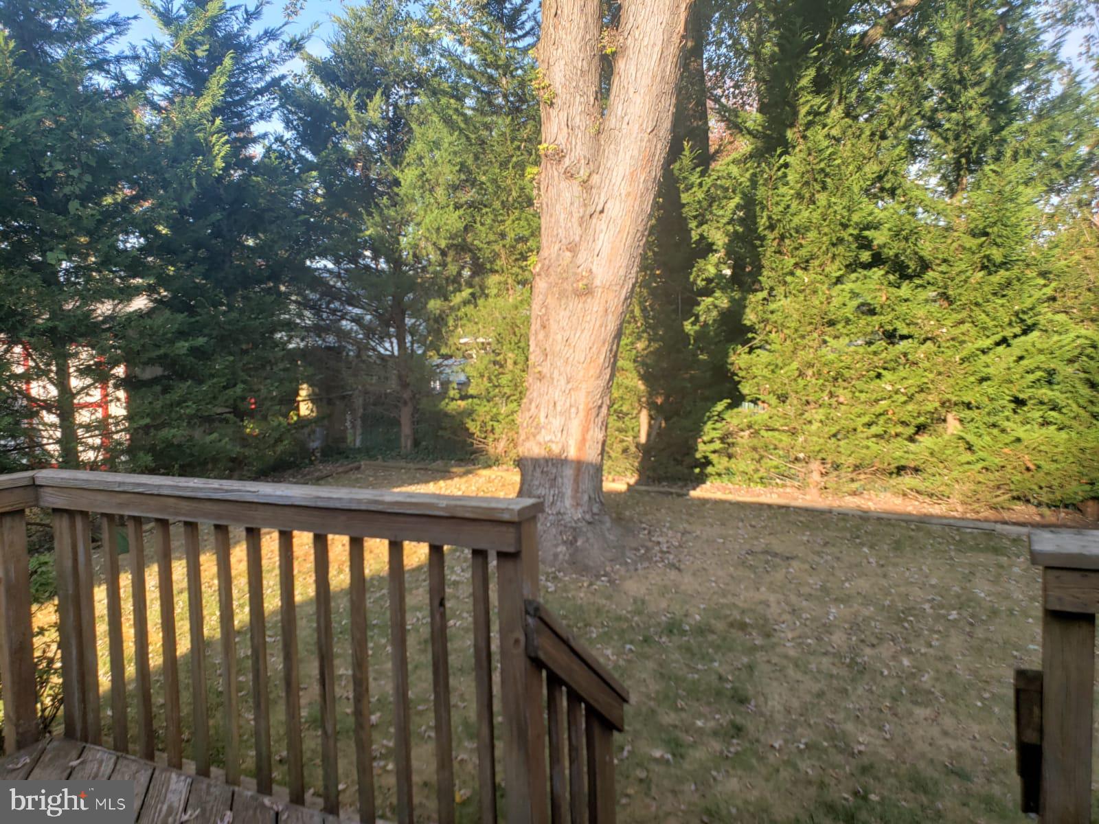 TWINBROOK FOREST - Residential Lease