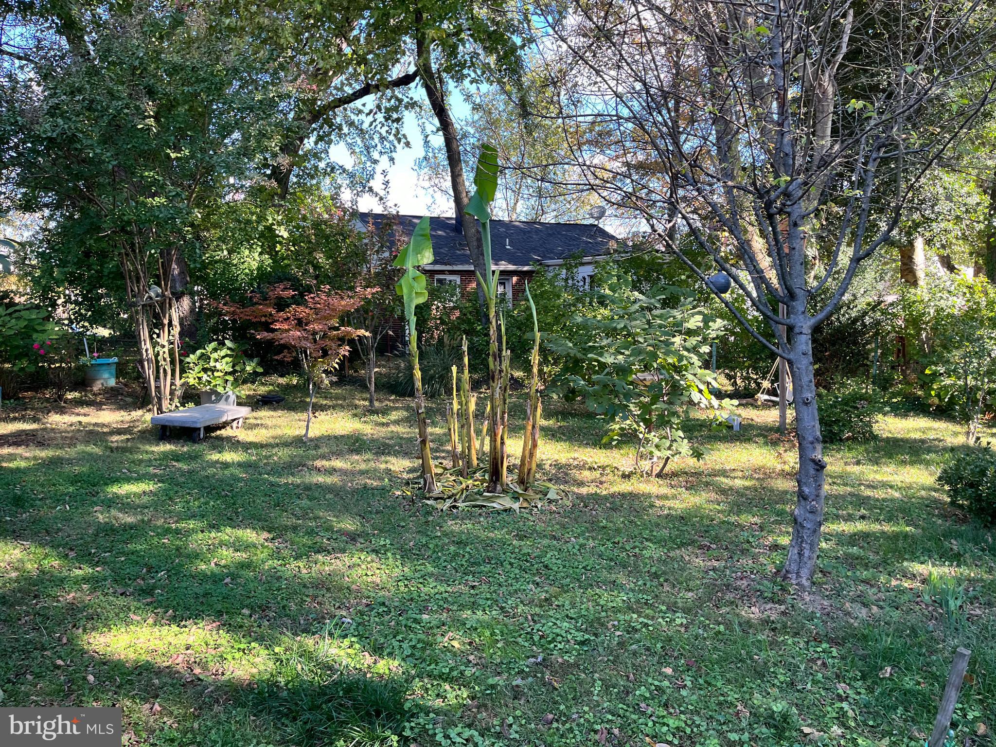 CONNECTICUT AVENUE ESTATES - Residential