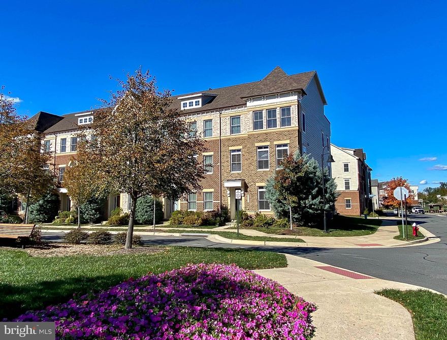 4 BED/4.5 BATH 4 LEVEL LUXURY END UNIT TOWNHOME IN SOUGHT AFTER ONE LOUDOUN!  ALMOST 3400 SQFT OF LUXURIOUS LIVING SPACE JUST STEPS TO WORLD CLASS DINING, SHOPPING, THEATERS AND MORE!   THIS BEAUTIFUL HOME FEATURES A GOURMET KITCHEN W/ HUGE GRANITE ISLAND, SS APPLIANCES, WIDE PLANK HARDWOOD FLOORING THROUGHOUT (EXCEPT LOWER LEVEL), HUGE LIVING/DINING SPACES, A PRIMARY SUITE W/ TRAY CEILING, WALK IN CLOSET AND LUX UPGRADED BATH, 3 ADDITIONAL LARGE BEDROOMS, A 4TH LEVEL LOFT + ROOF TOP PATIO, PRIVATE BALCONY OFF KITCHEN, LOWER LEVEL FAMILY ROOM W/ WET BAR AND CUSTOM 2 CAR GARAGE!  THIS STUNNING HOME FACES A COMMUNITY PARK AND IS MINS TO RT 7, 28, LOUDOUN CO PARKWAY, DULLES GREENWAY AND MORE!
