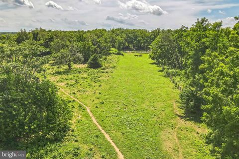 Vacant Land For Sale - 1683 Withers Larue Road<br/> BERRYVILLE, VA 22611