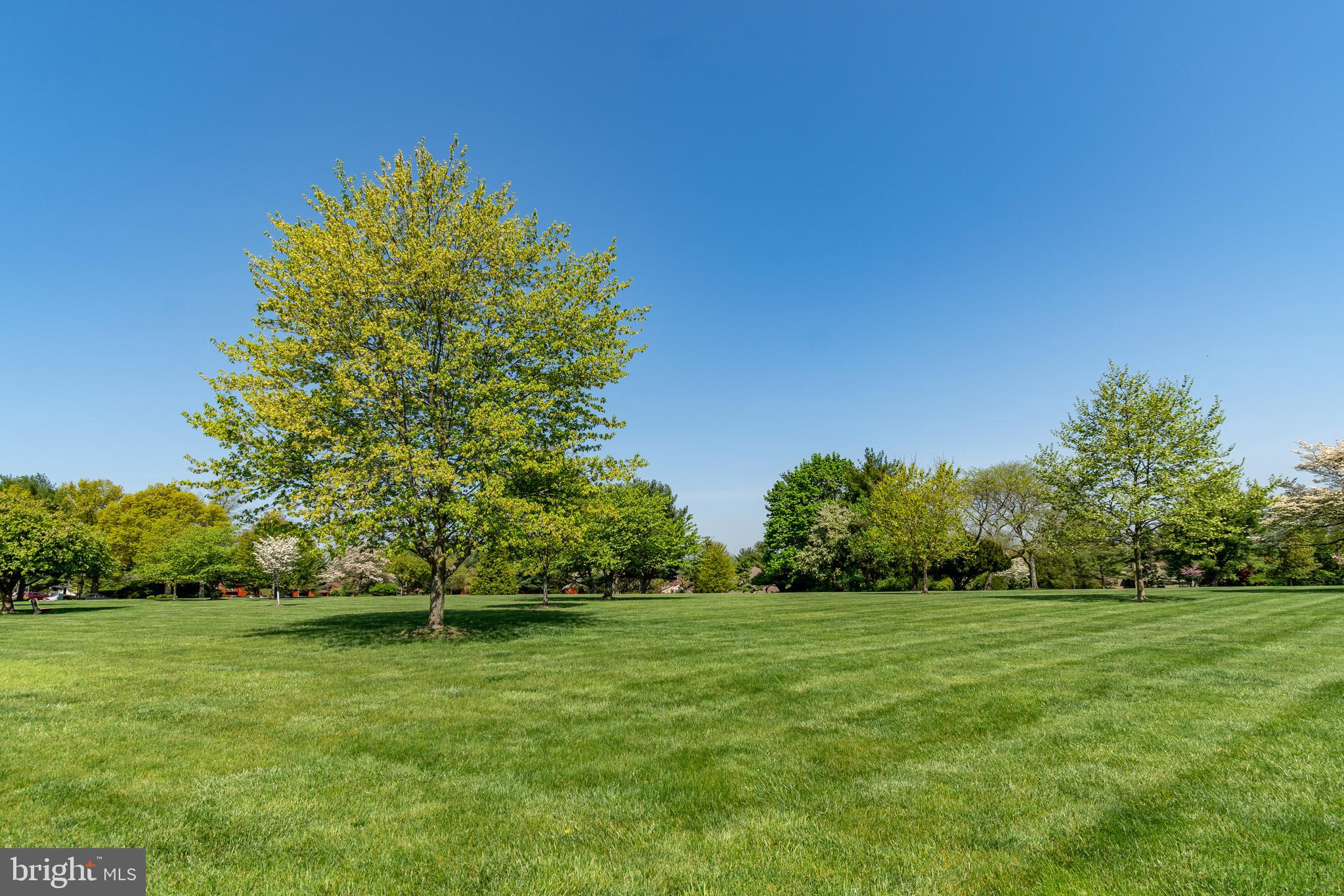 VILLAGE II - Residential Lease