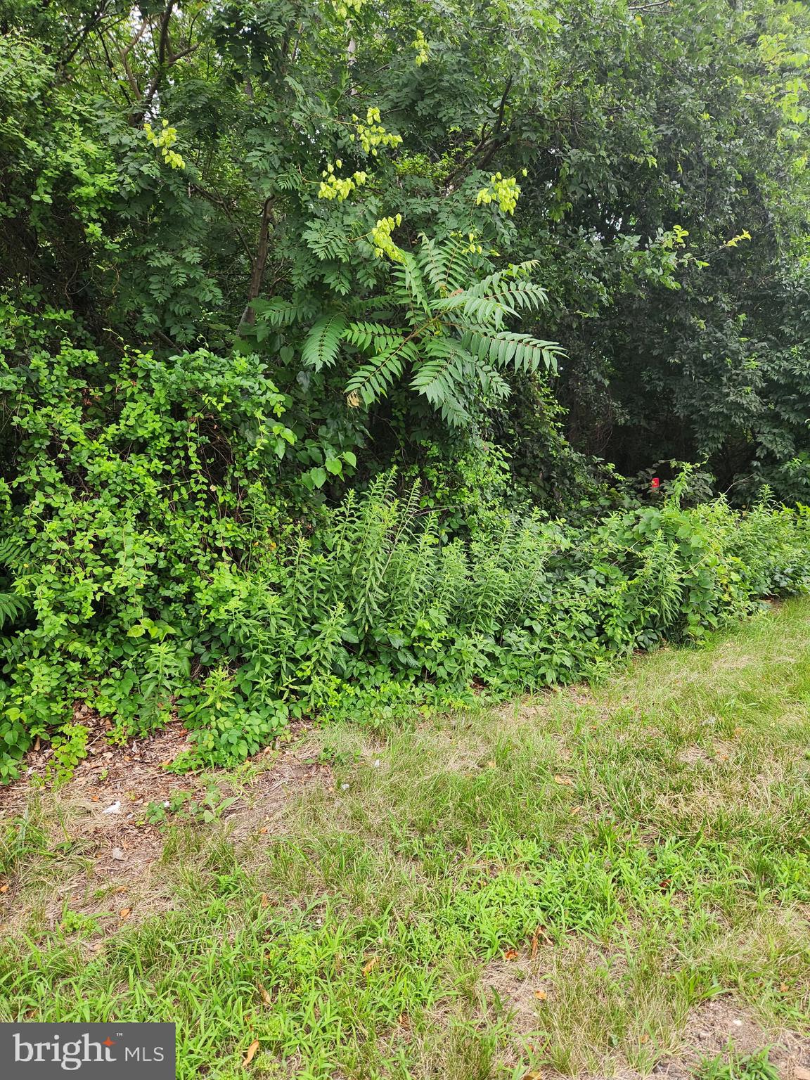 1284 HURFFVILLE ROAD