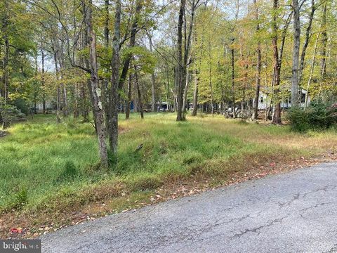 25 MAPLEWOOD LANE LAKE HARMONY PA 18624