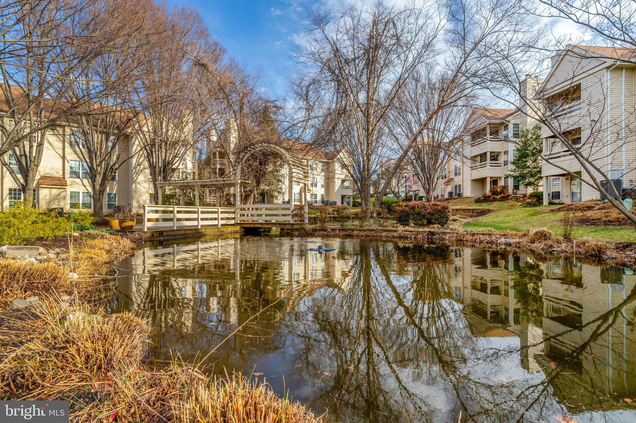 CARR AT PINECREST - Residential