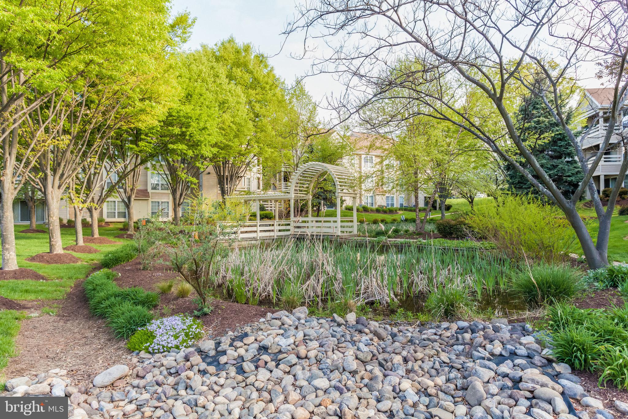 CARR AT PINECREST - Residential