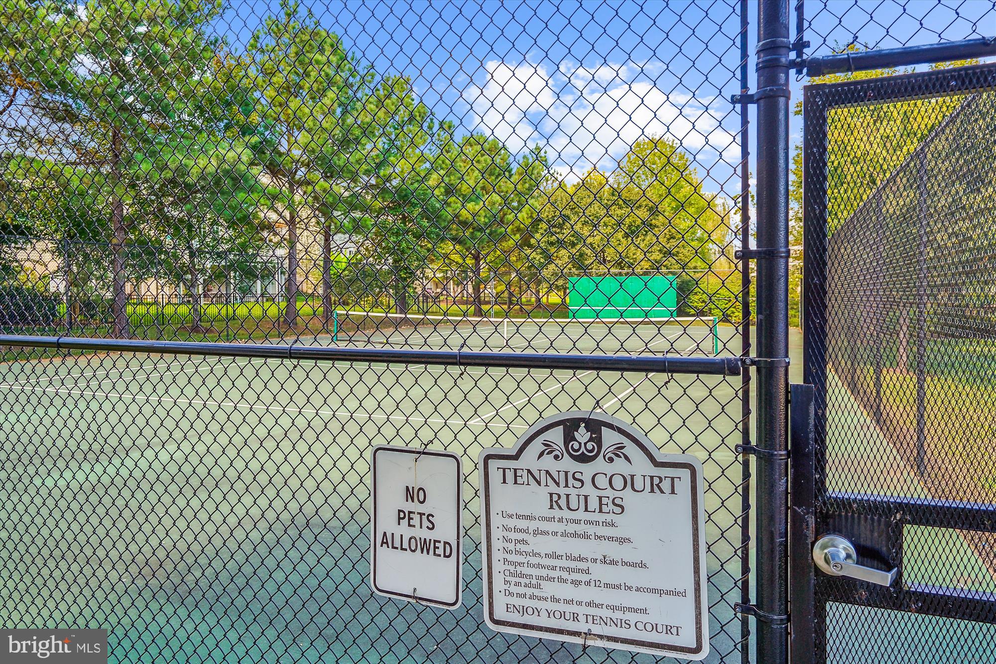 THE VILLAGES OF PIEDMONT - Residential