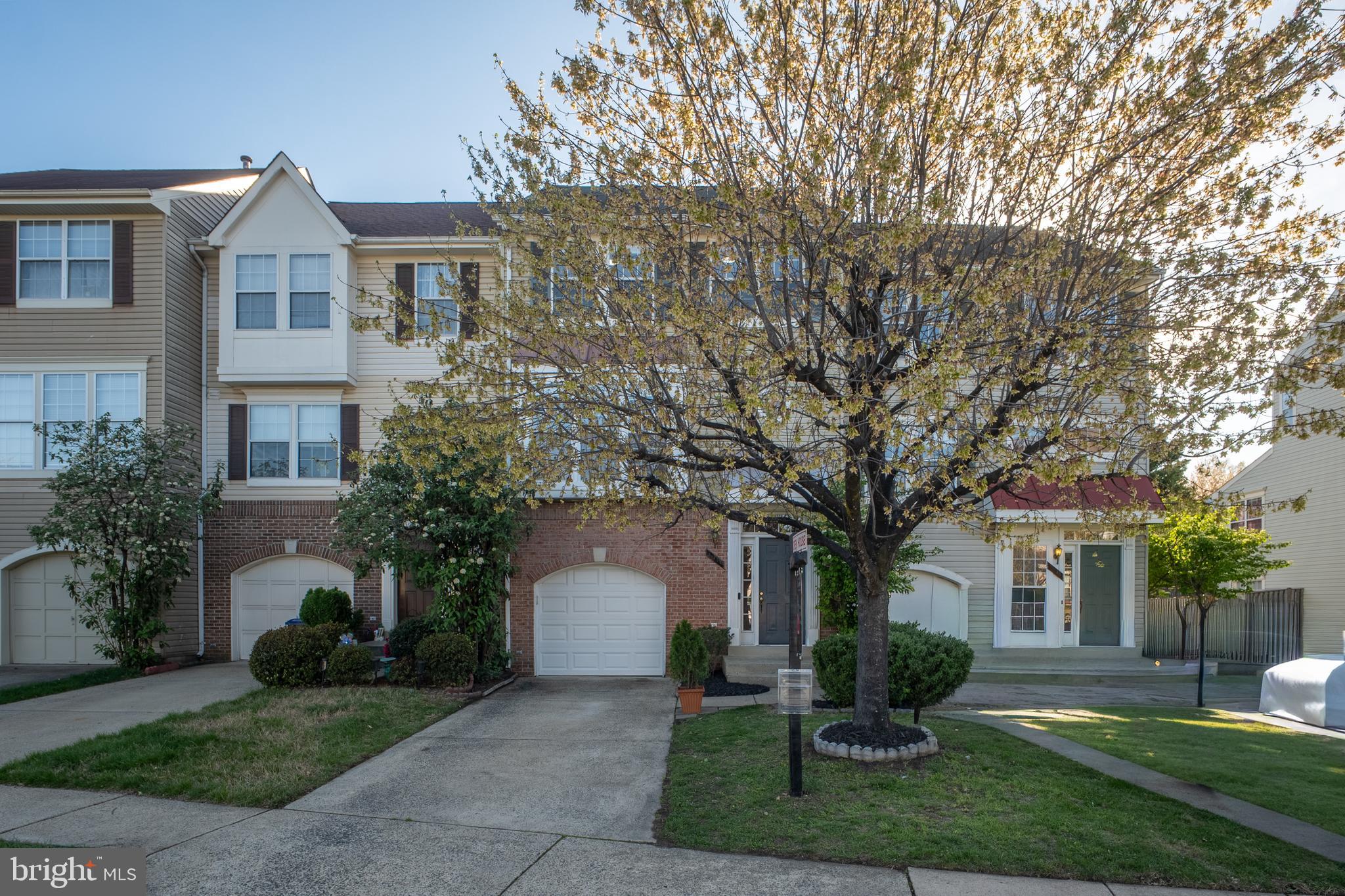 PARADISE - Residential