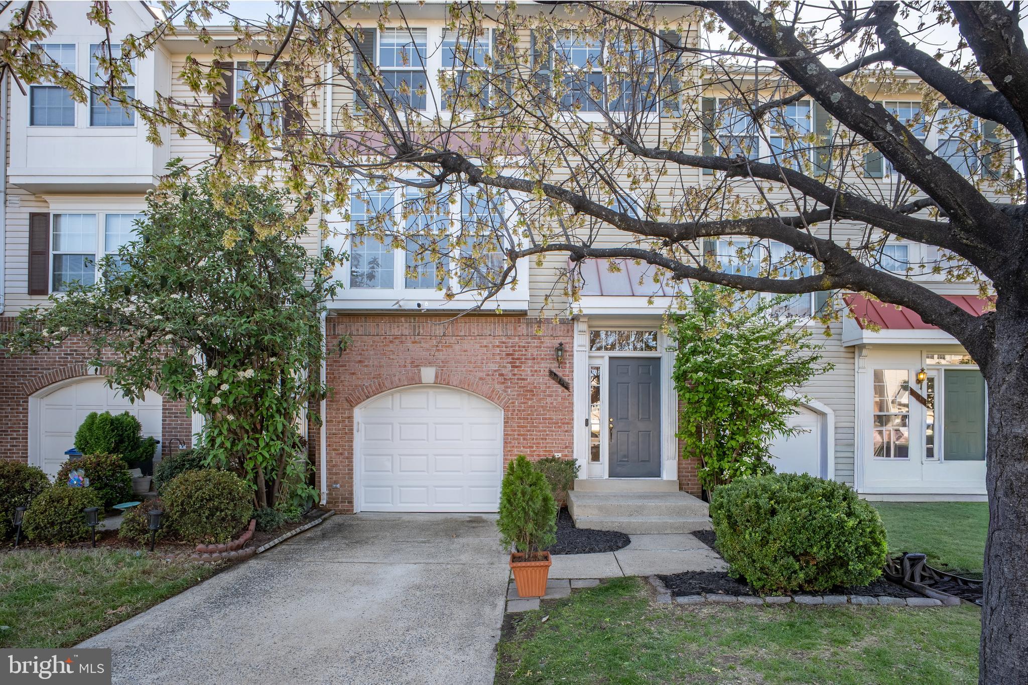 PARADISE - Residential