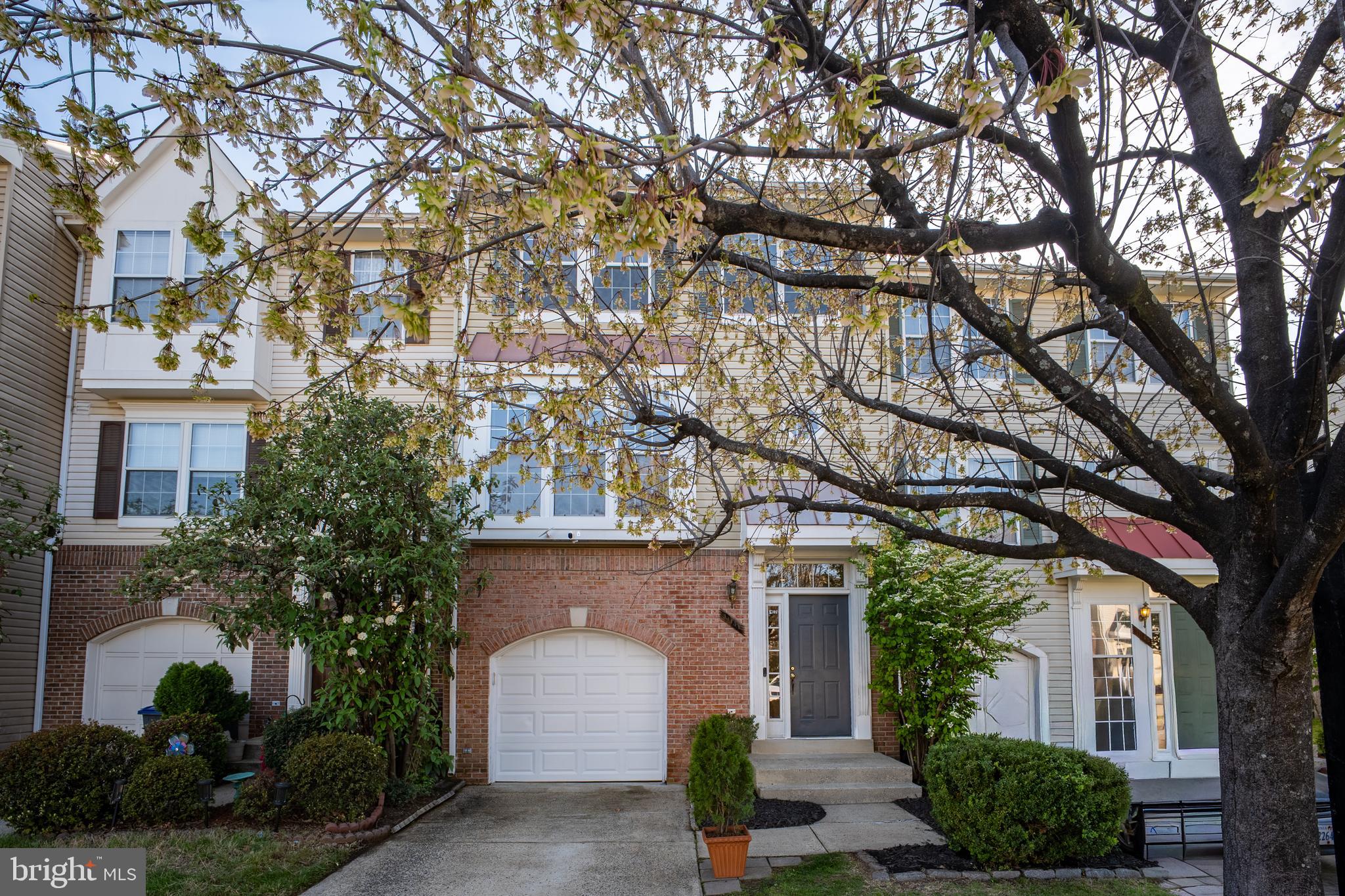 PARADISE - Residential