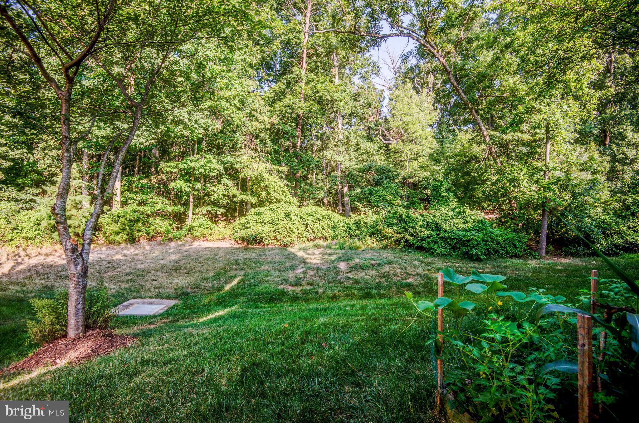 BRAMBLETON BRANDT PROPERTY - Residential