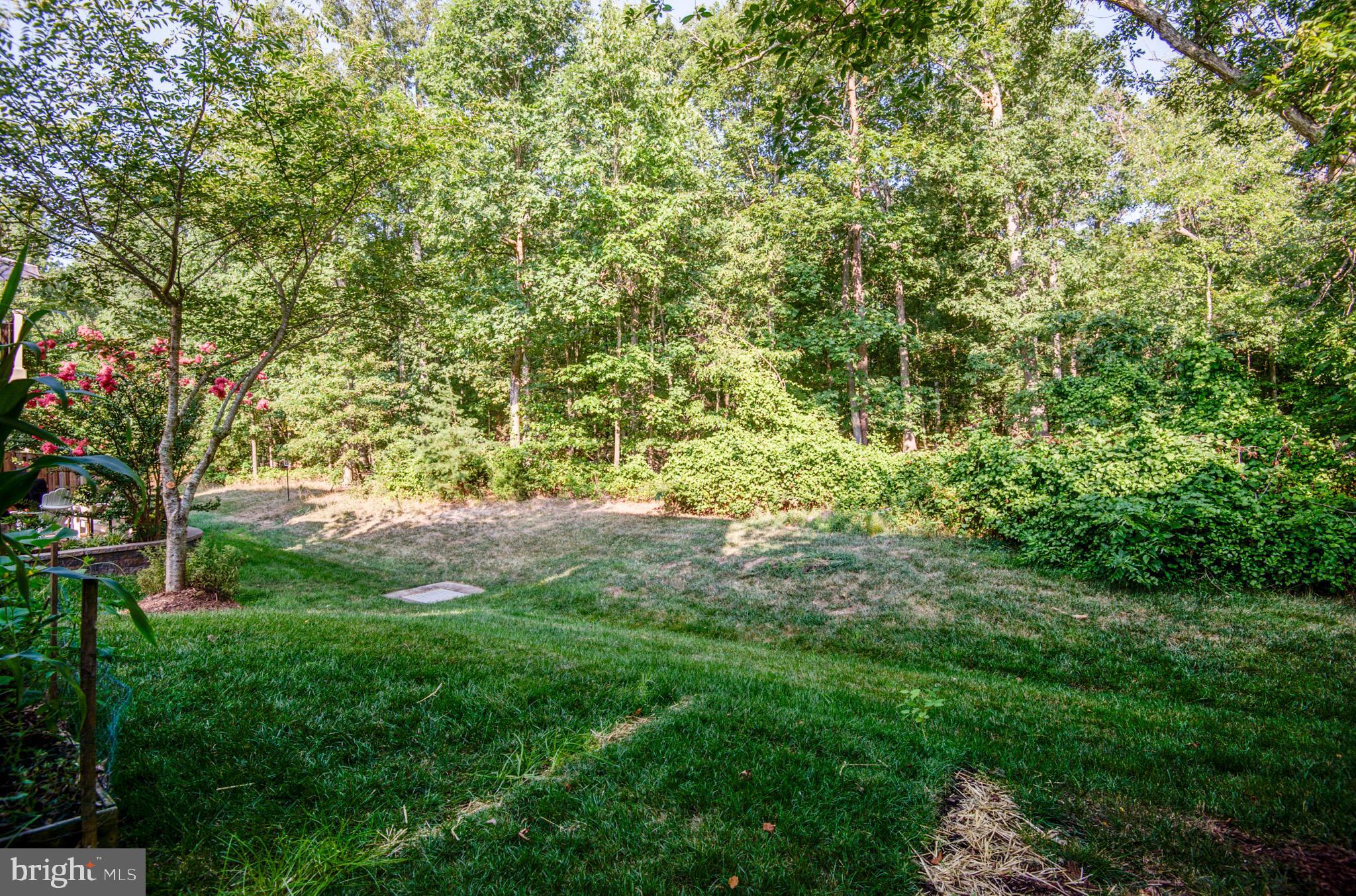 BRAMBLETON BRANDT PROPERTY - Residential