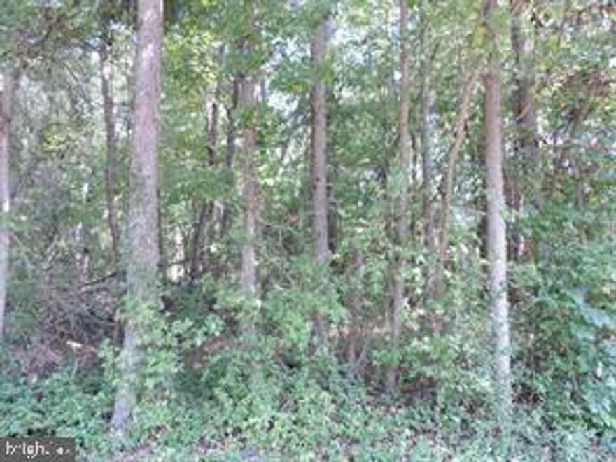 Chesapeake Landing has a voluntary Home Owners Association which offers access to Worton Creek.  Parcel has failed perc.