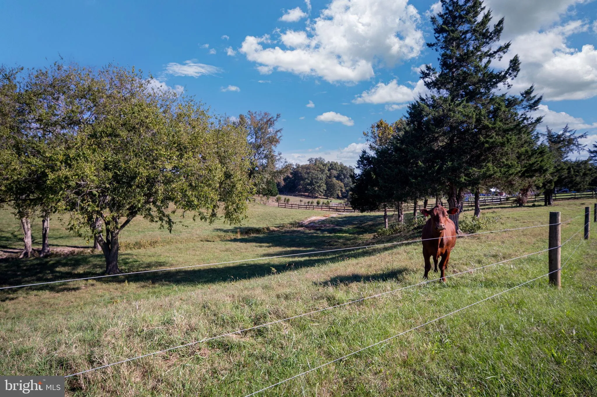 Fredericksburg, Virginia 22405, United States, 2 Bedrooms Bedrooms, ,3 BathroomsBathrooms,Residential,Active,225990