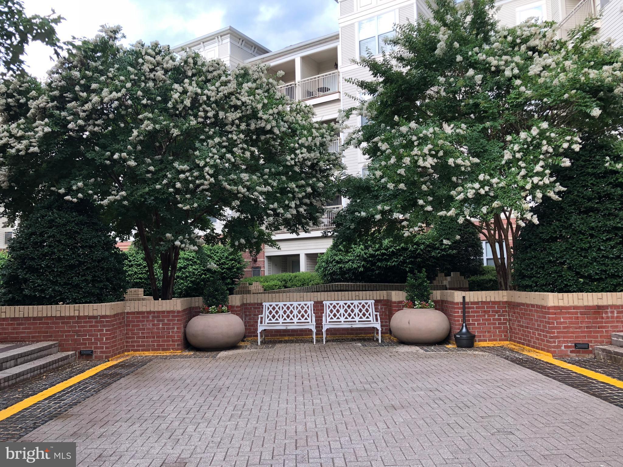 ACADIA - Residential Lease