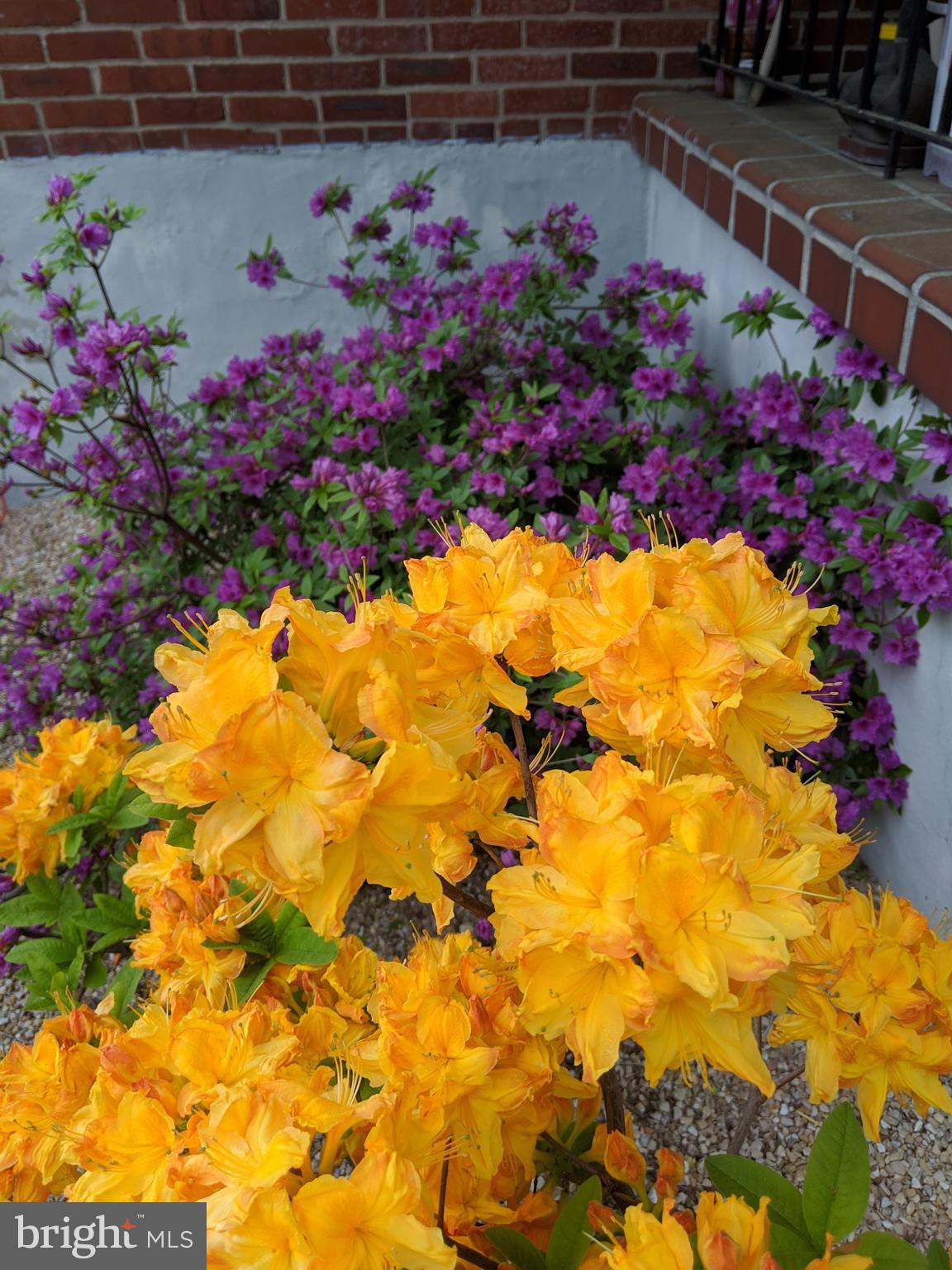 PARKVILLE - Residential