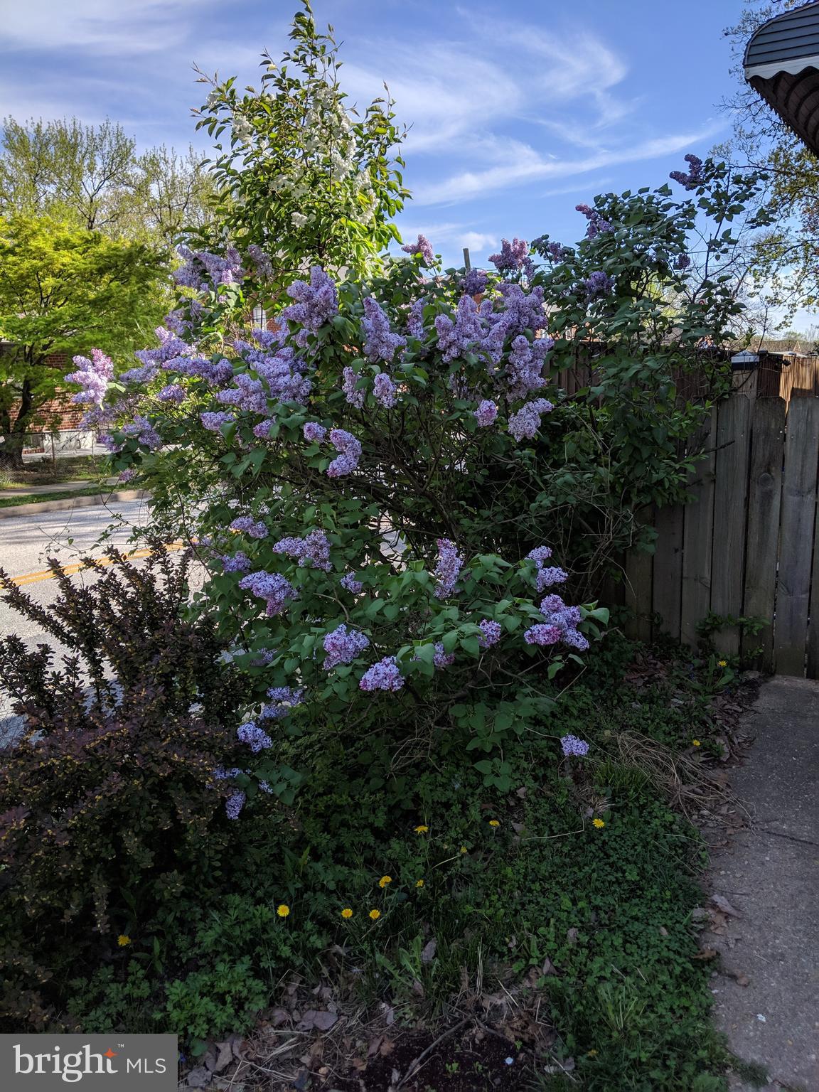 PARKVILLE - Residential