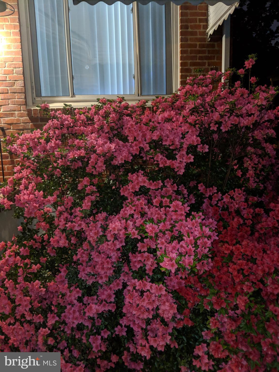 PARKVILLE - Residential