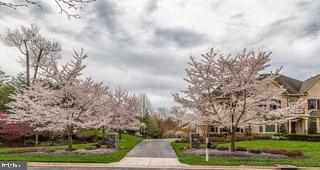 TIMBERLAKE ESTATES - Residential