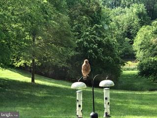 TIMBERLAKE ESTATES - Residential