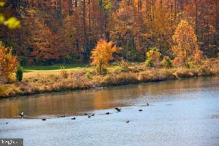 TIMBERLAKE ESTATES - Residential