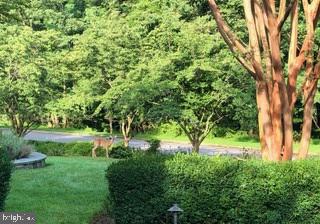 TIMBERLAKE ESTATES - Residential