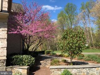 TIMBERLAKE ESTATES - Residential