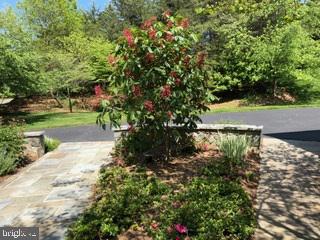 TIMBERLAKE ESTATES - Residential