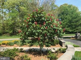 TIMBERLAKE ESTATES - Residential