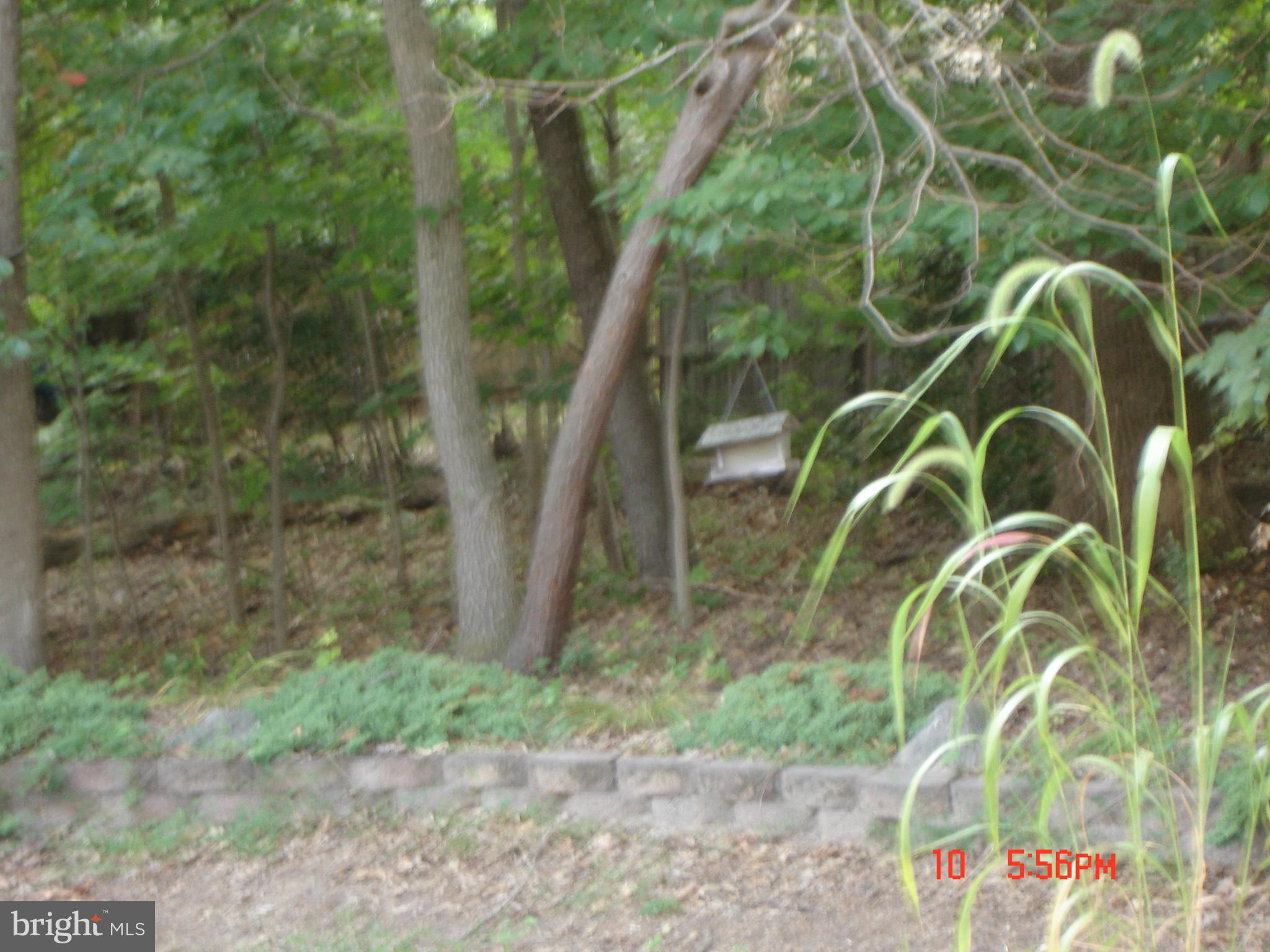 DISNEY ESTATES - Residential Lease