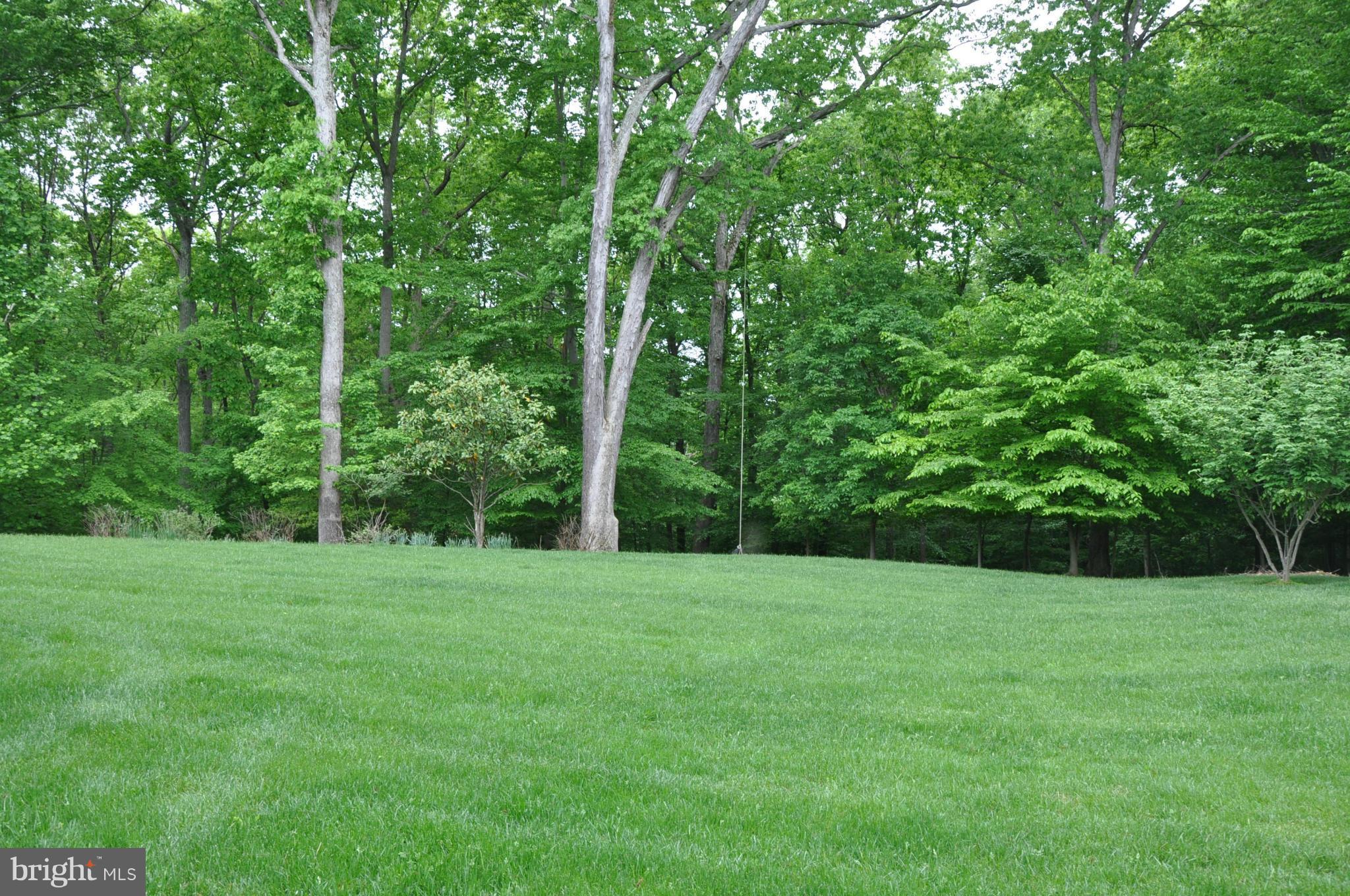 POTOMAC FALLS - Residential