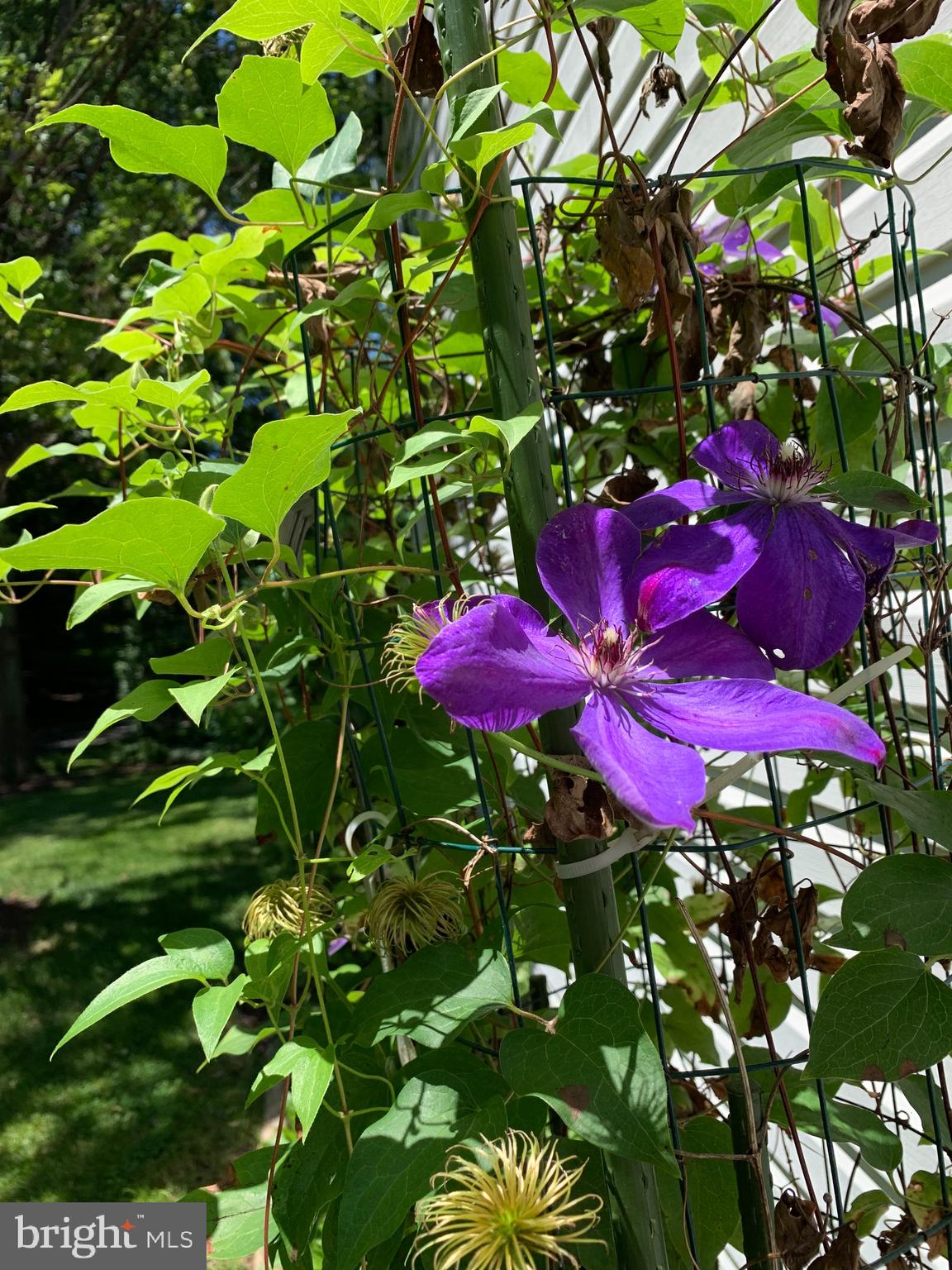 DUNN LORING - Residential