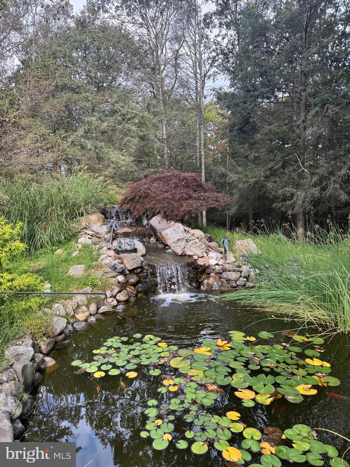 COBBLE CREEK ESTATES - Residential