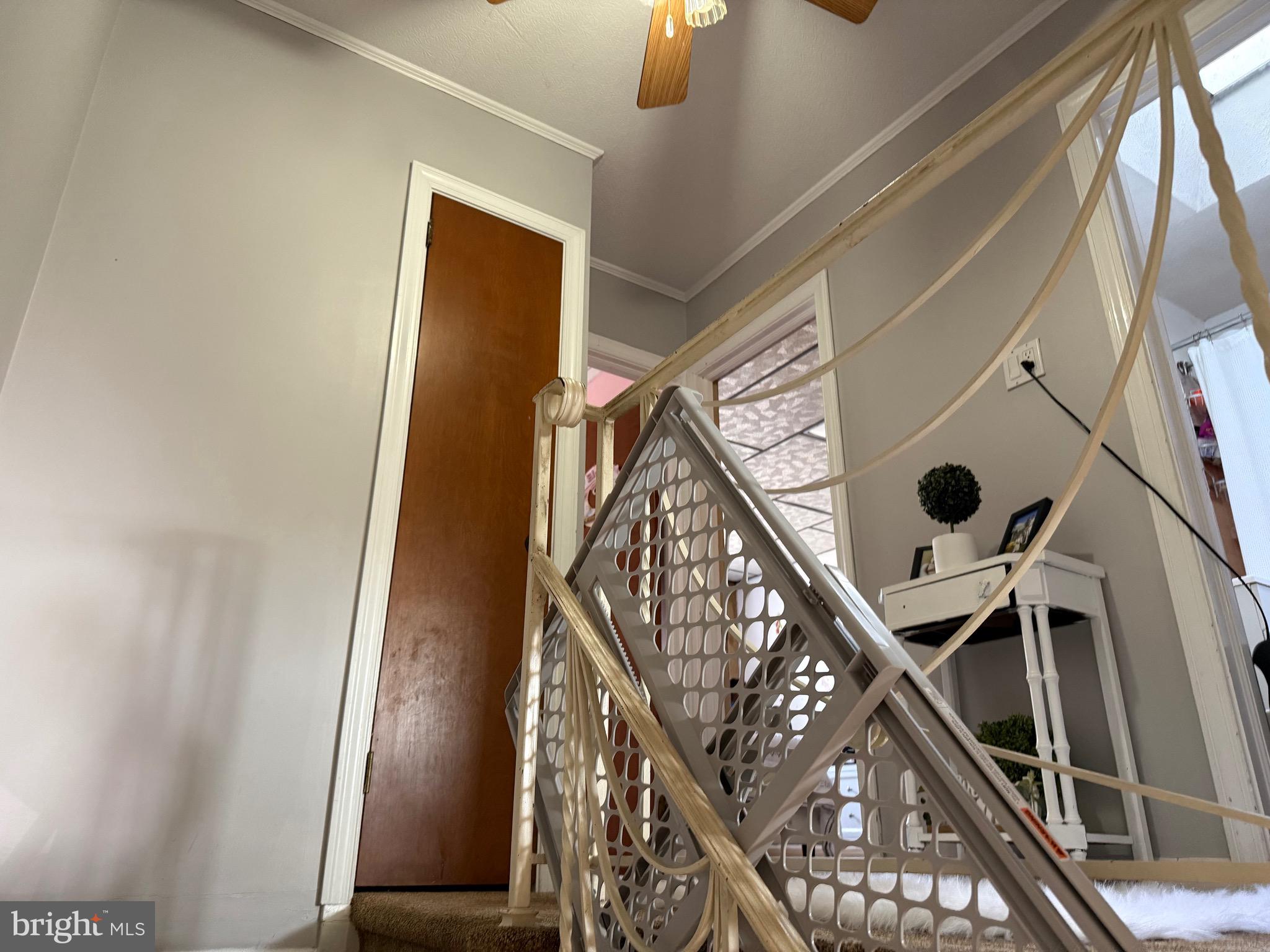 MAYFAIR - Residential