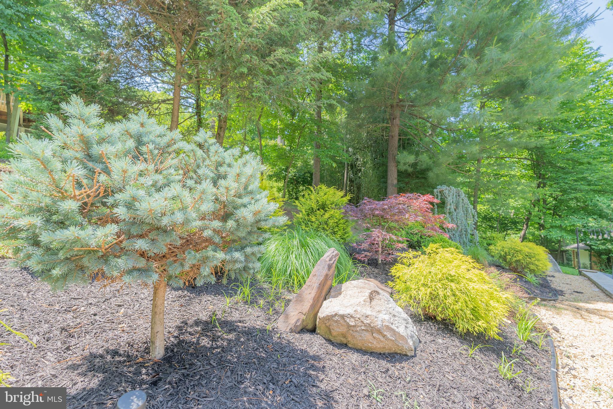 CARDEROCK SPRINGS - Residential