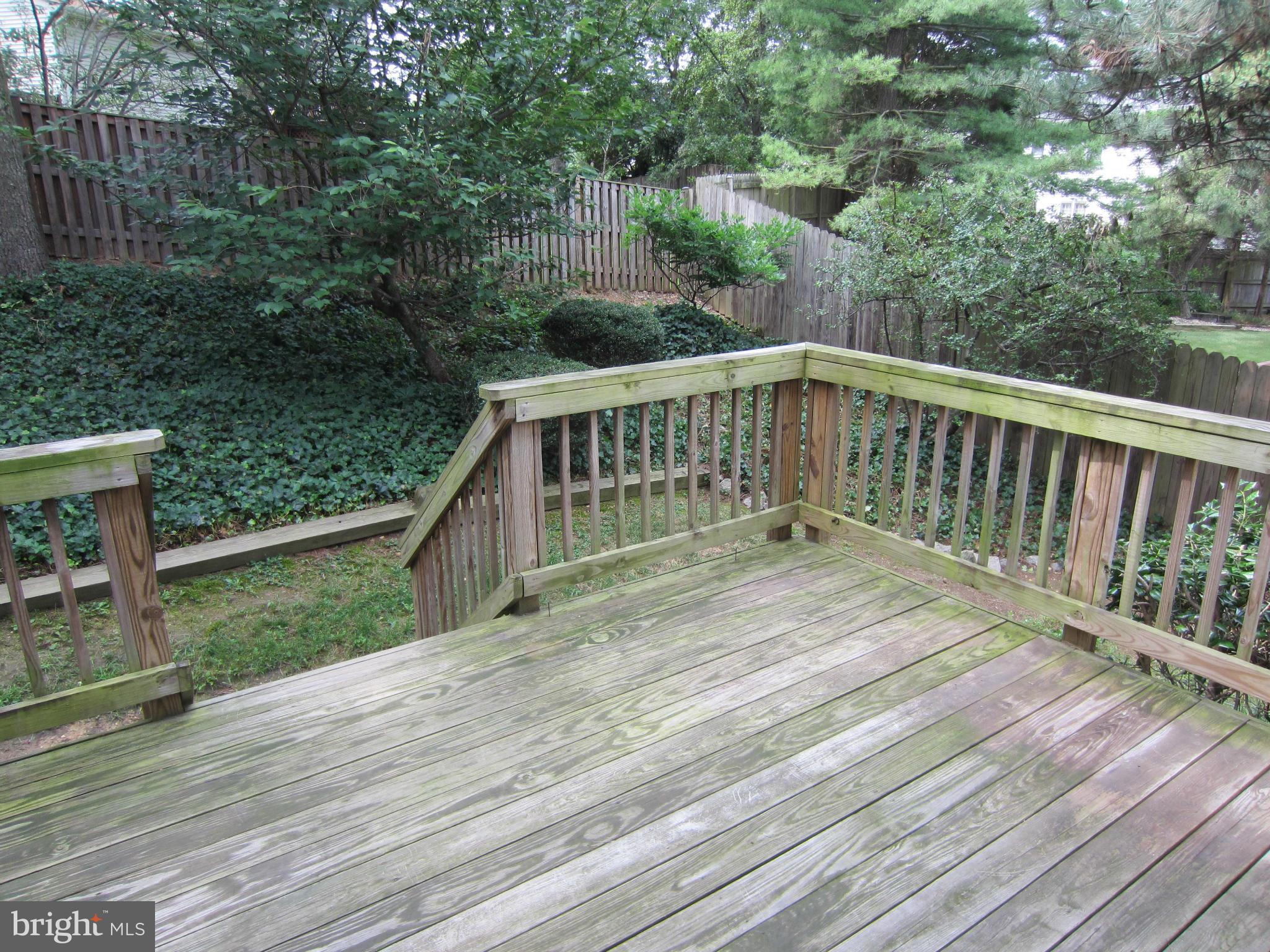 NORTON SQUARE - Residential Lease