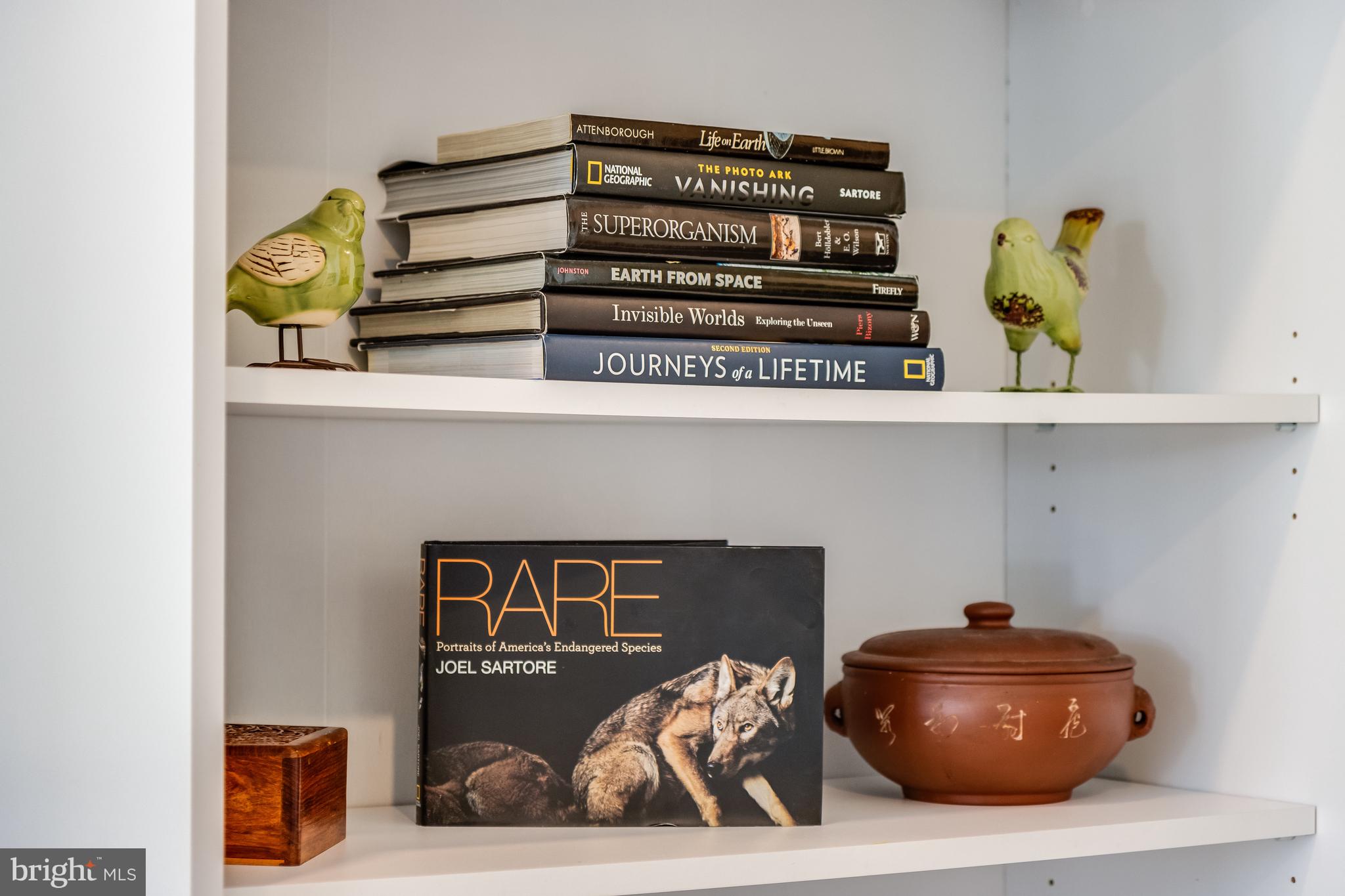 WHITE CREEK AT BETHANY - Residential