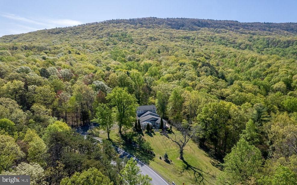 Come see this beautiful mountain retreat just outside of New Market! With 4-bedrooms, 4.5-baths, and over 3500 sq ft, this home has some beautiful spaces. From the spacious gourmet kitchen perfect for culinary enthusiasts, to the massive primary bedroom with mountain views, this house is special. The picturesque location surrounded by woods offers a tranquil escape with breathtaking views of the Shenandoah Valley from the bedroom windows. Day or night, in every season, the scenery is truly enchanting. This wonderful update of a fantastic home includes a new kitchen, baths, flooring, lighting and more! You will be in a great location close to Skyline Drive, Luray Caverns, the Appalachian trail, and with close access to Luray, Harrisonburg, and to I-81 and traveling up and down the east coast. There are 2 bedrooms upstairs, 2 on the main floor, 2 with a private bath. Priced well below appraisal of $620k! Option to purchase under $500k without additional lot.
