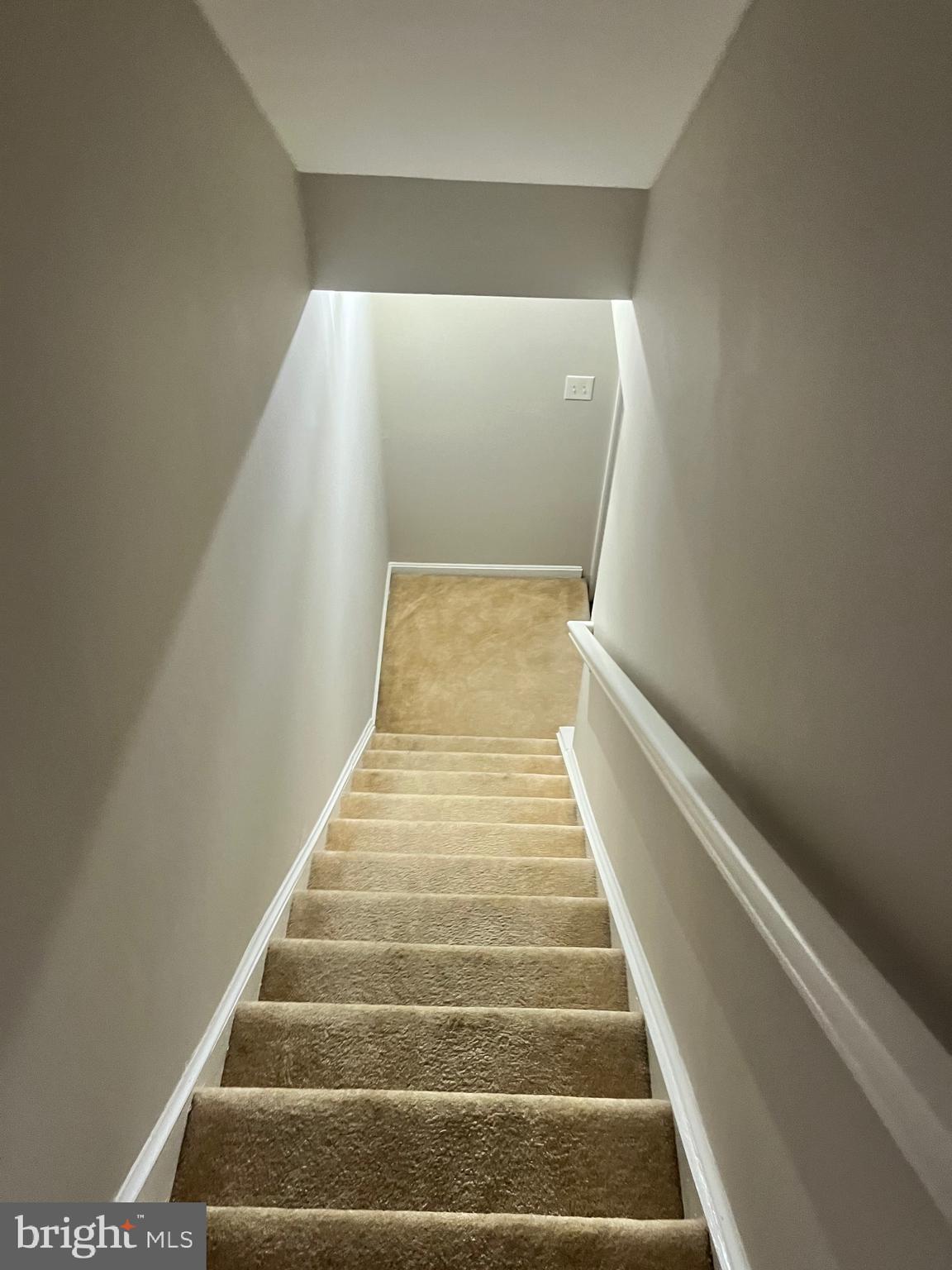 FOREST VIEW - Residential Lease