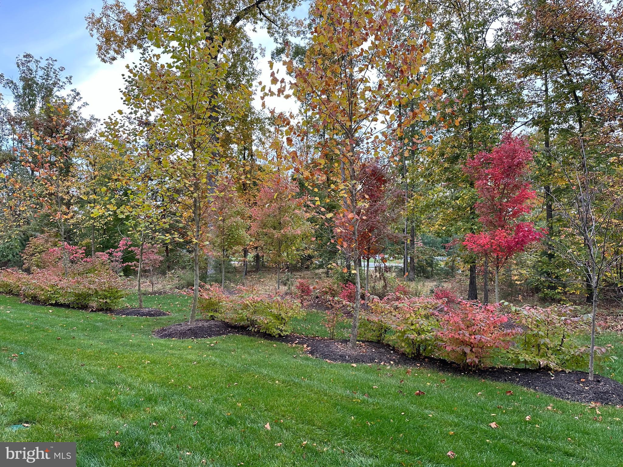 LOUDOUN VALLEY RIDGES - Residential