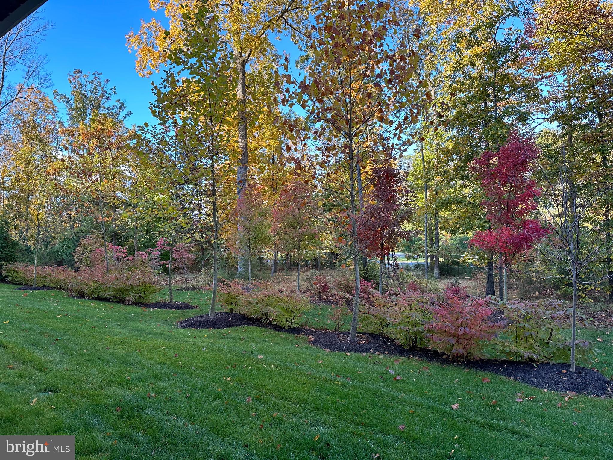 LOUDOUN VALLEY RIDGES - Residential