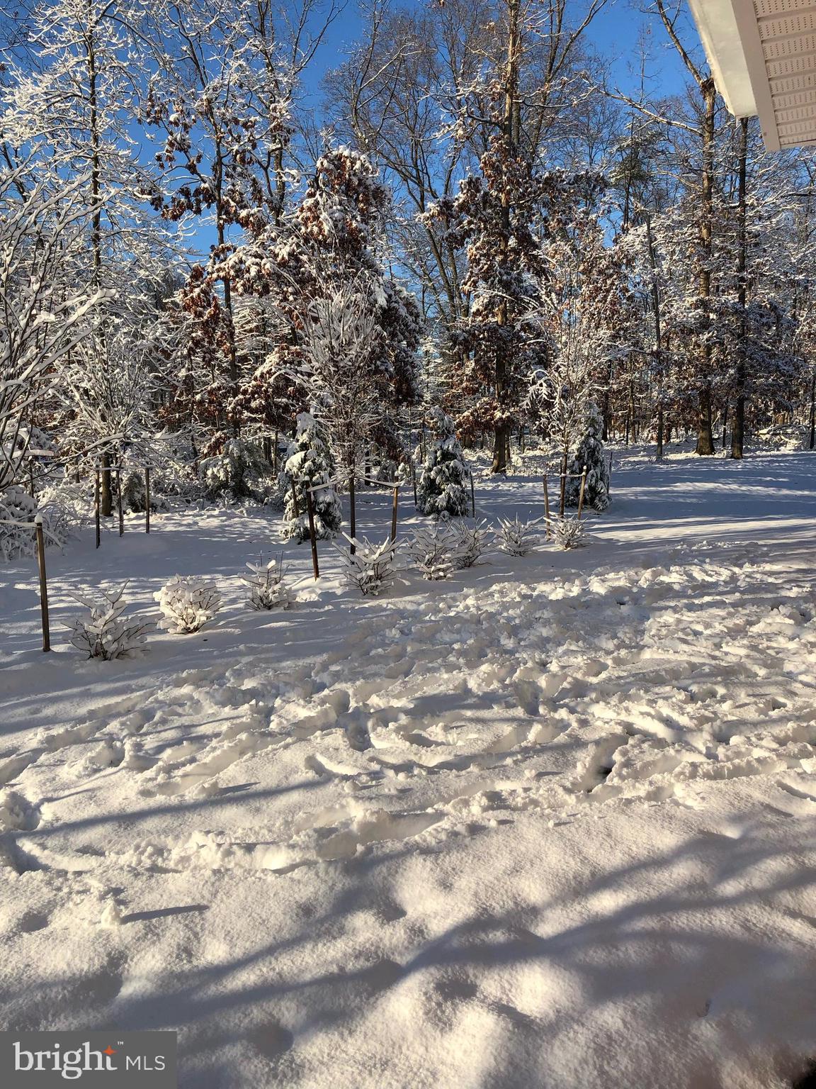 LOUDOUN VALLEY RIDGES - Residential