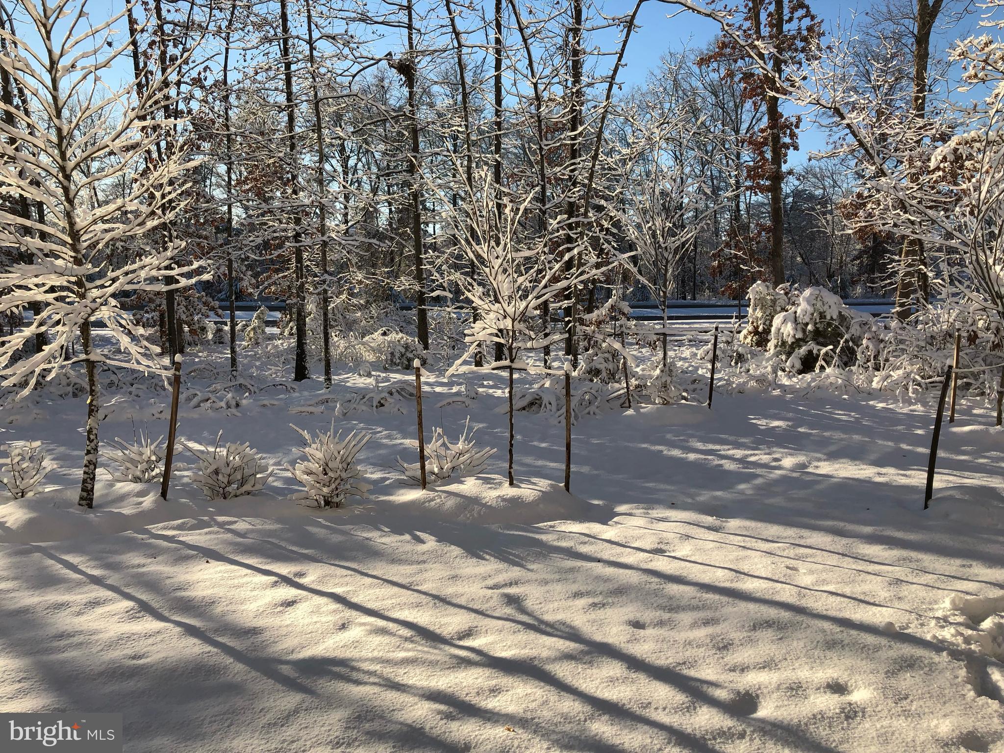 LOUDOUN VALLEY RIDGES - Residential