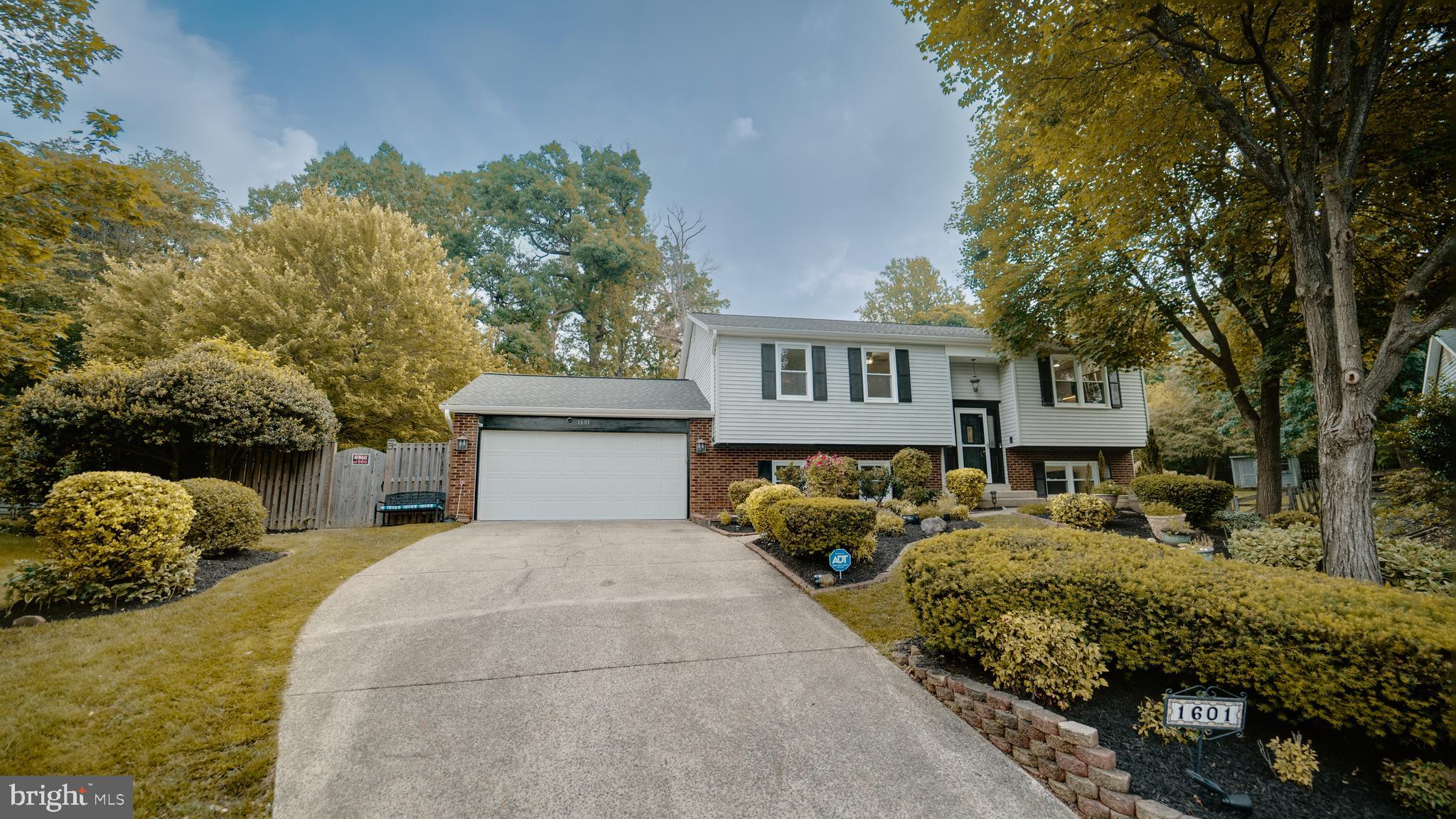 KINGSTON CHASE - Residential