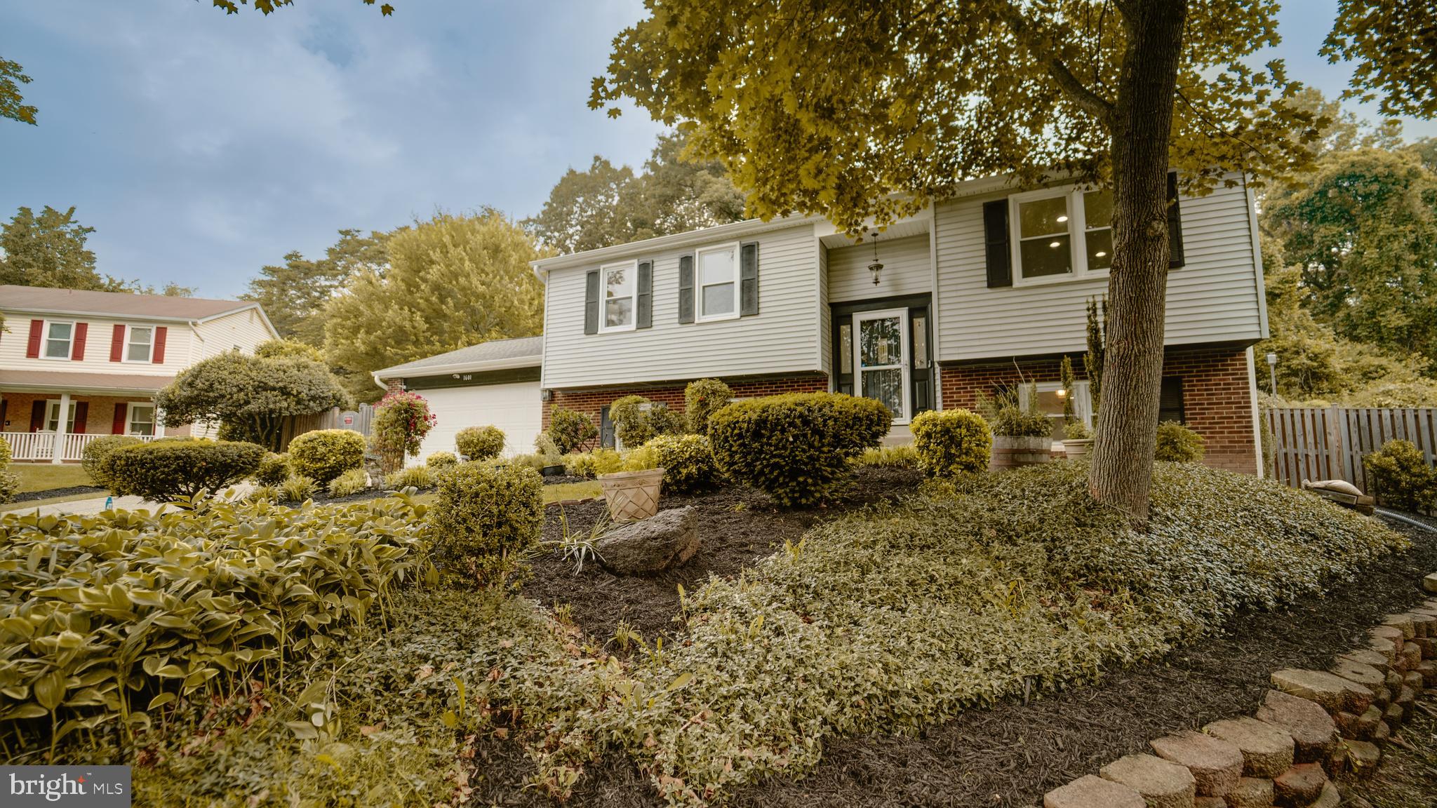 KINGSTON CHASE - Residential