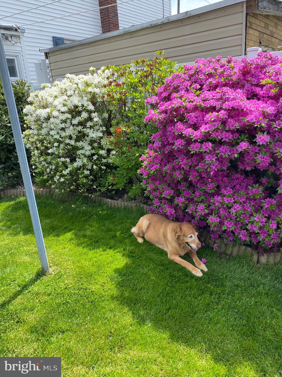 SAINT CLAIR - Residential