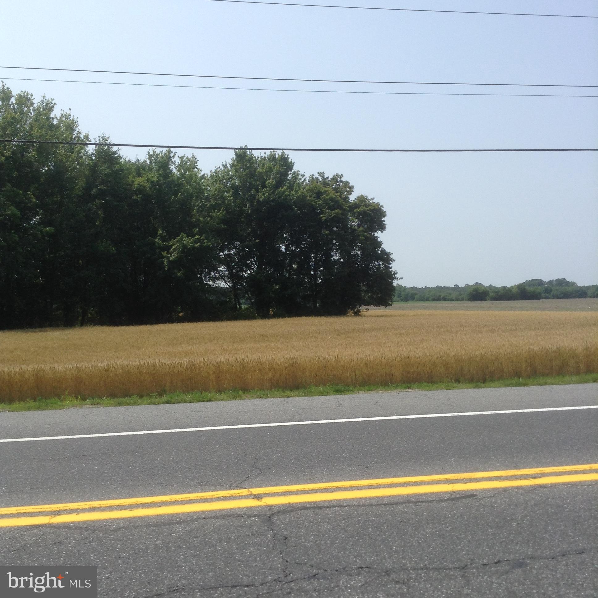 32274 VINES CREEK ROAD