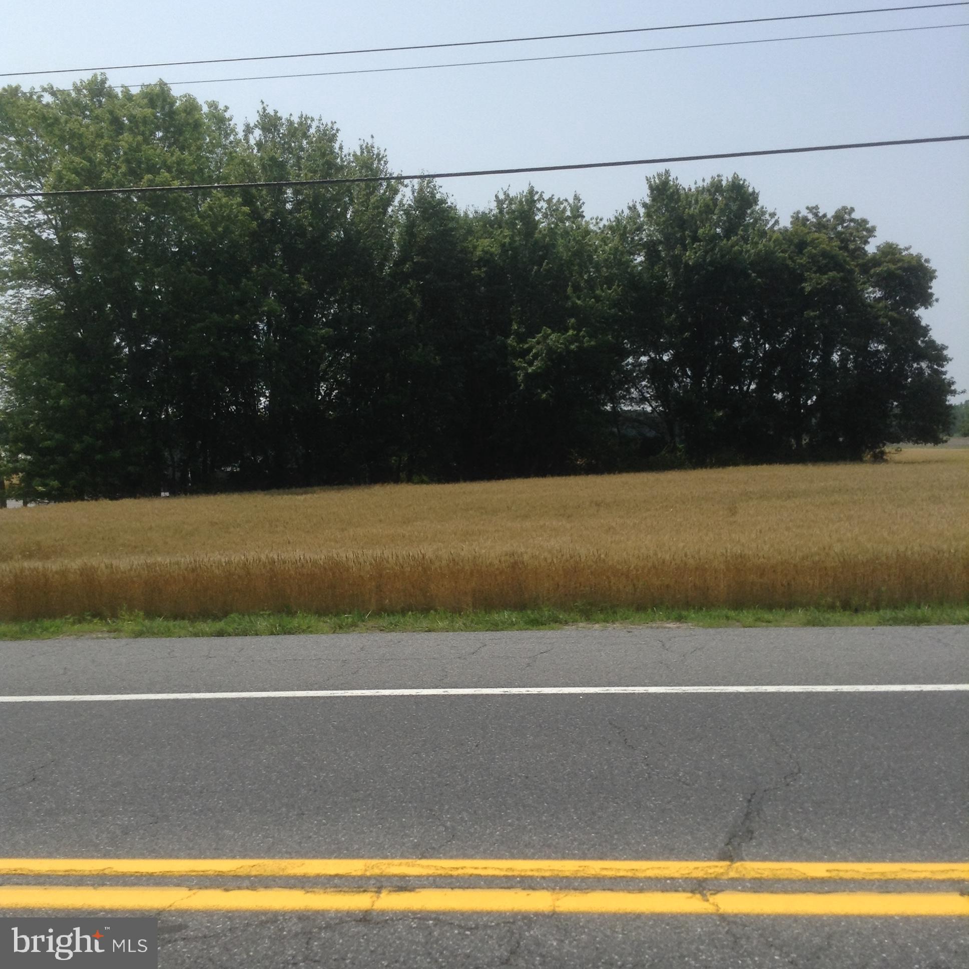 32274 VINES CREEK ROAD