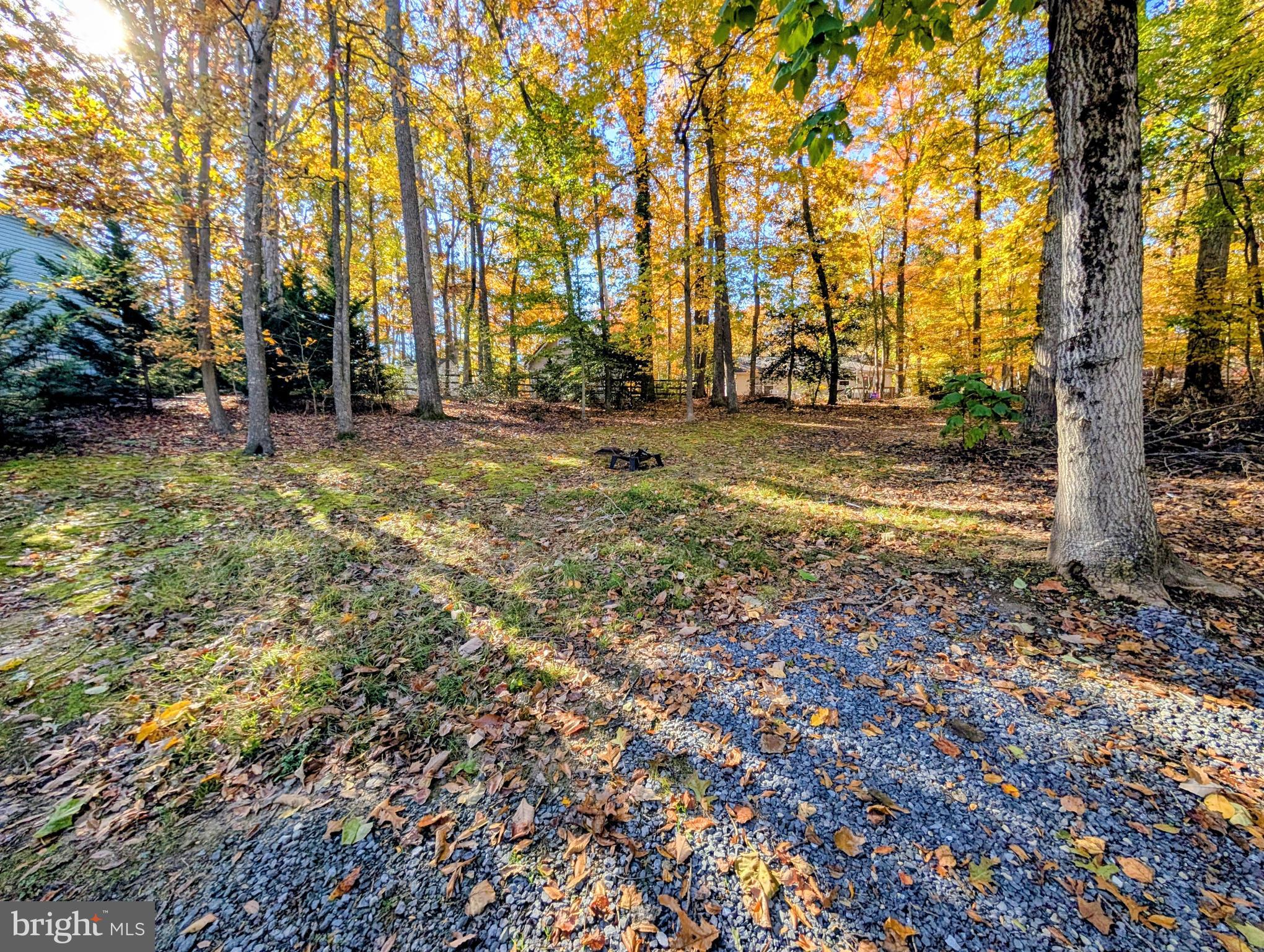 CHESAPEAKE COVE ESTATES - Residential